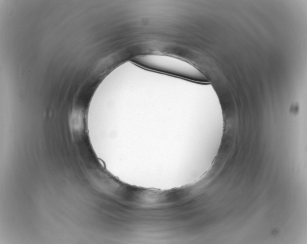 X0000093390094200711011320