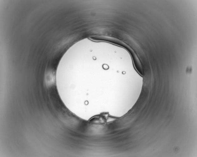 X0000093390095200711011320