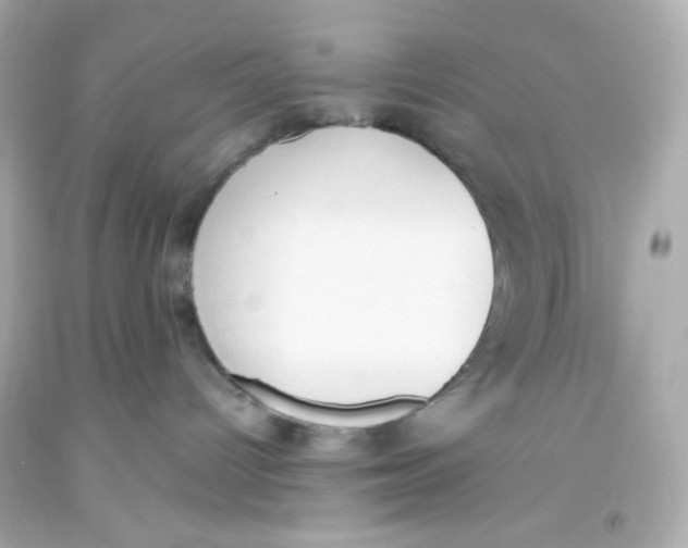 X0000093390096200711011320