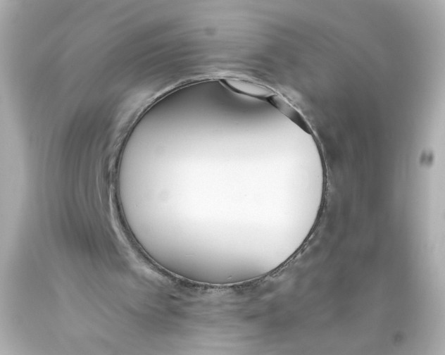 X0000093390097200711011319