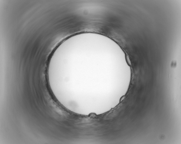 X0000093390098200711011319