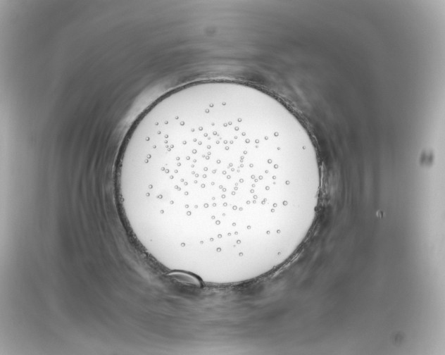 X0000093390099200711011319