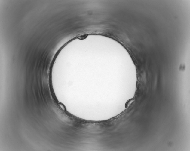 X0000093390100200711011319