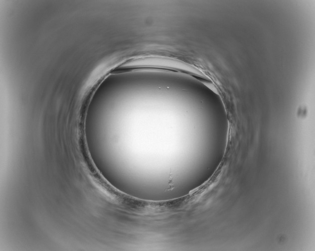 X0000093390101200711011319