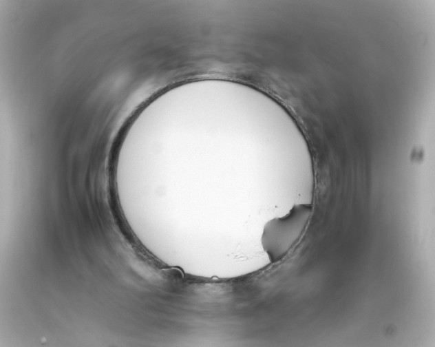 X0000093390102200711011319