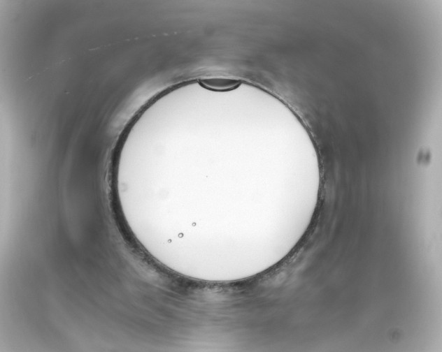 X0000093390103200711011319