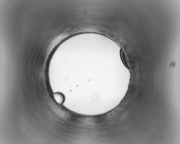 X0000093390104200711011319