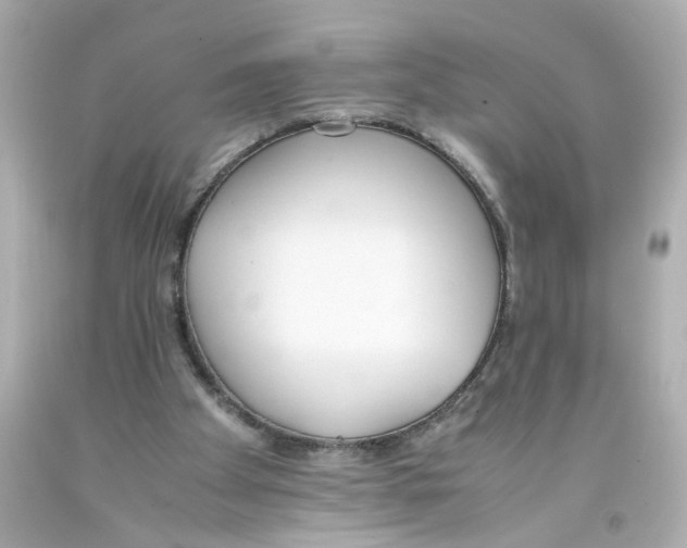 X0000093390105200711011319