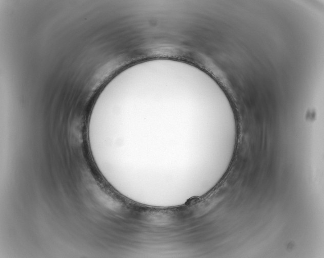 X0000093390106200711011319