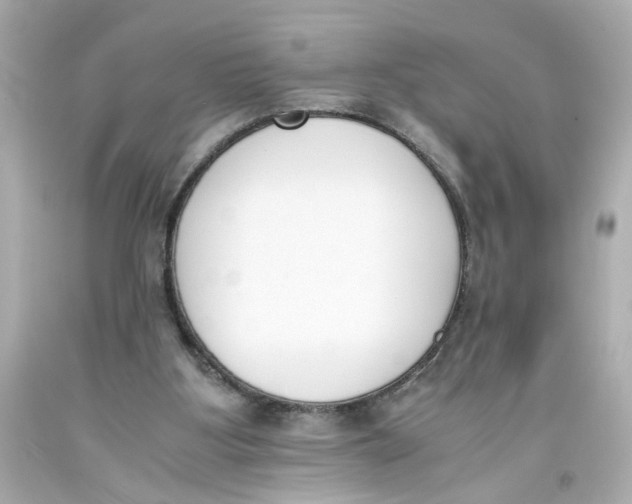 X0000093390107200711011319