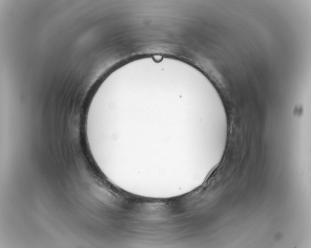 X0000093390108200711011319