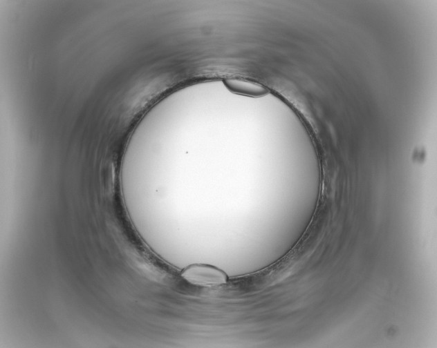 X0000093390109200711011319