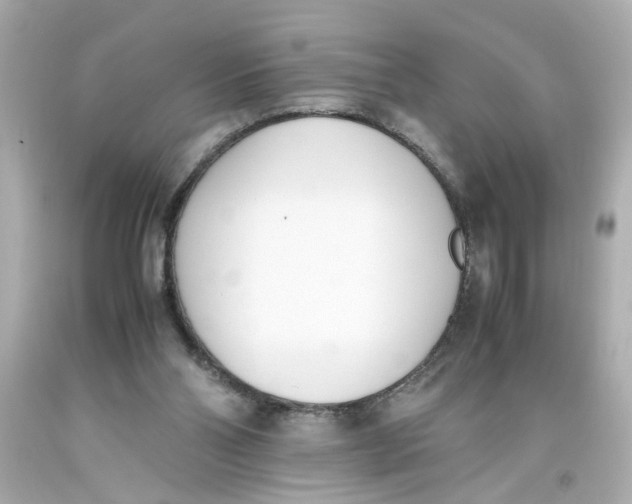 X0000093390110200711011319