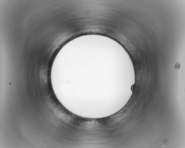 X0000093390112200711011319