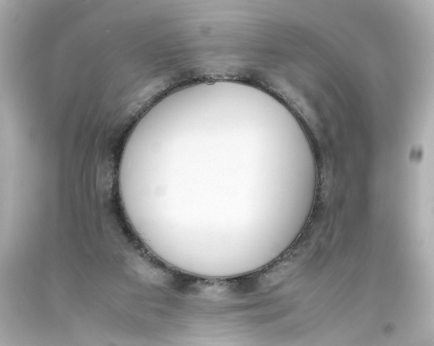 X0000093390113200711011319