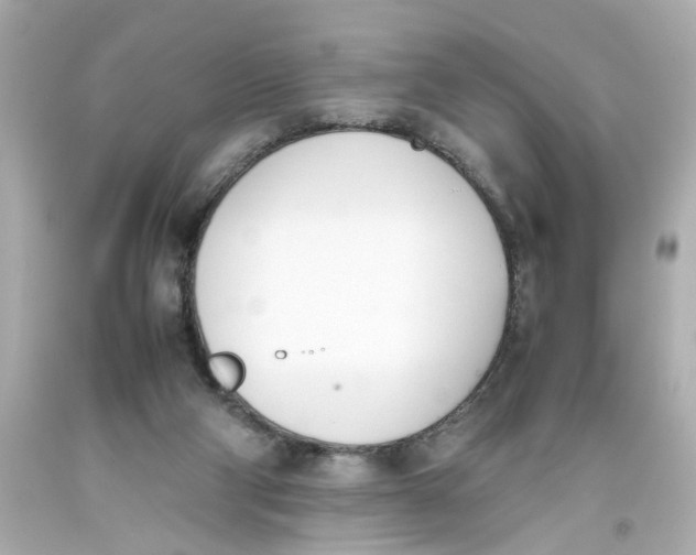 X0000093390114200711011319