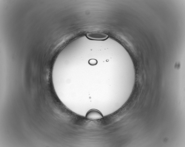 X0000093390115200711011319