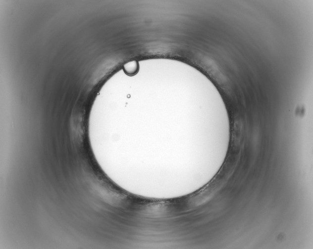 X0000093390116200711011319