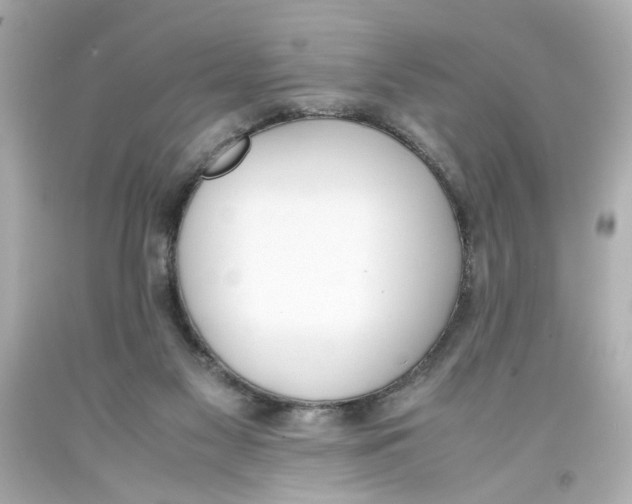 X0000093390117200711011319