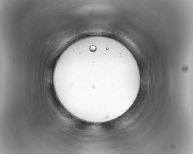 X0000093390119200711011319