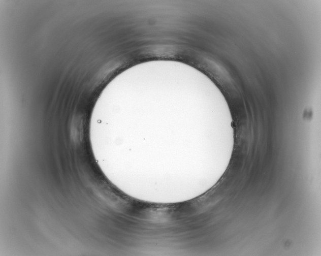 X0000093390120200711011319