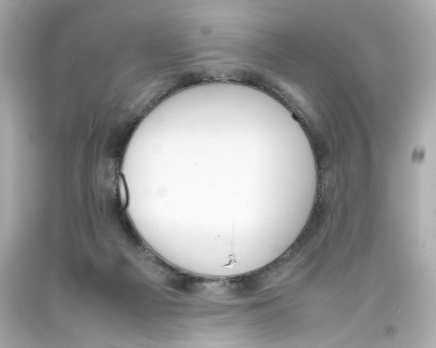 X0000093390121200711011319