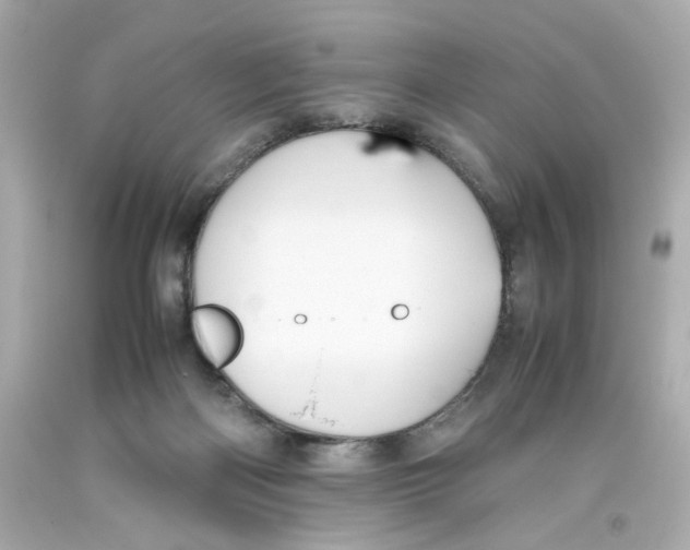 X0000093390122200711011319