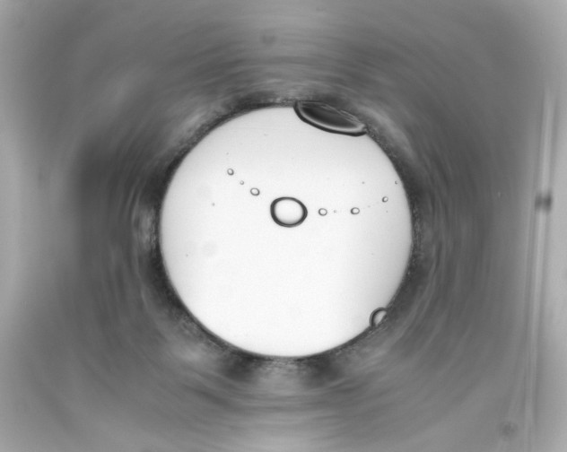 X0000093390123200711011319