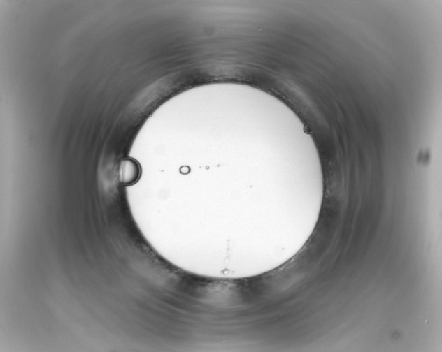 X0000093390124200711011319