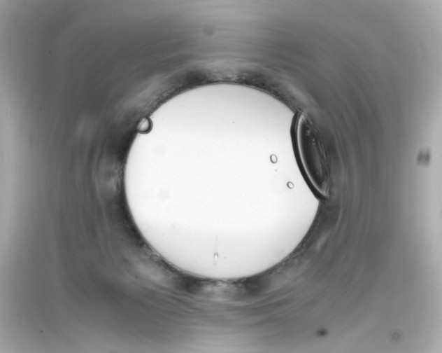 X0000093390125200711011319