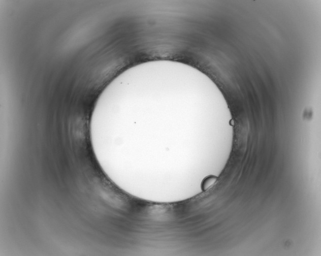 X0000093390126200711011319