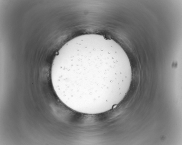 X0000093390127200711011319