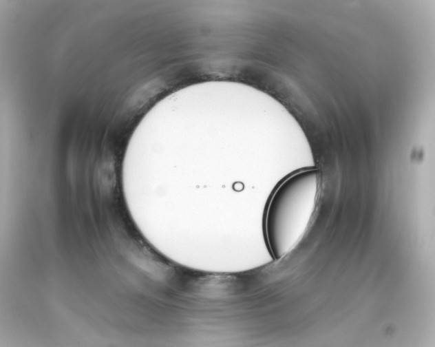 X0000093390128200711011319