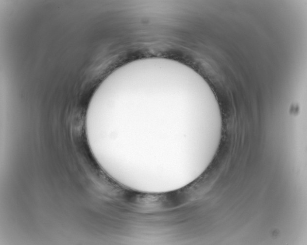 X0000093390129200711011319