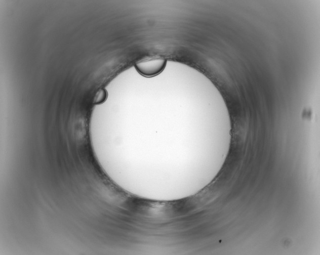 X0000093390130200711011319