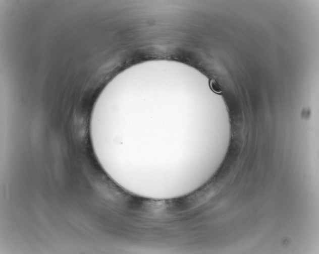 X0000093390131200711011319