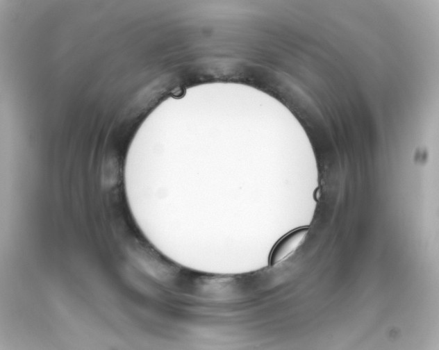 X0000093390132200711011319