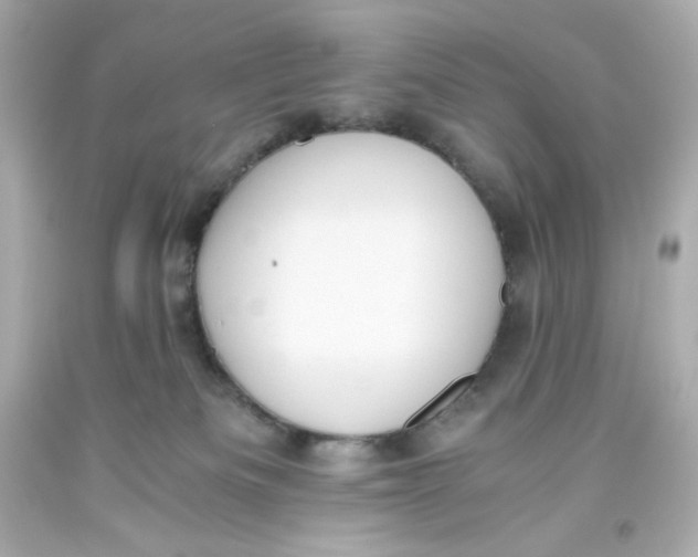 X0000093390133200711011319