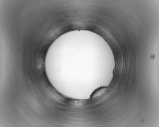 X0000093390134200711011319