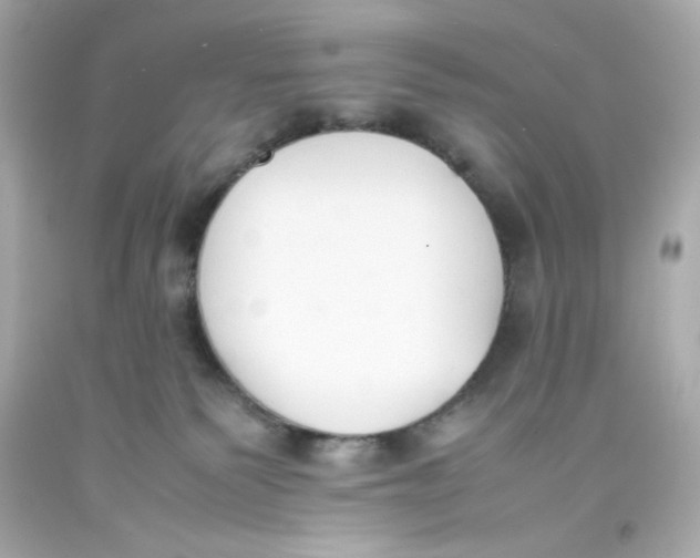 X0000093390135200711011319