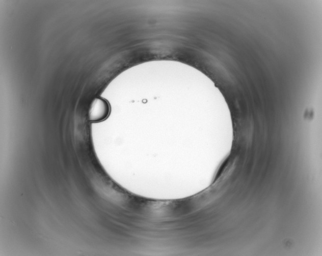 X0000093390136200711011319