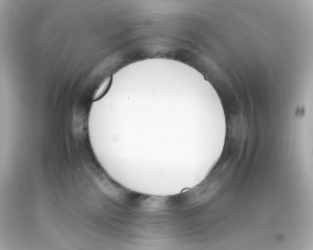 X0000093390138200711011319