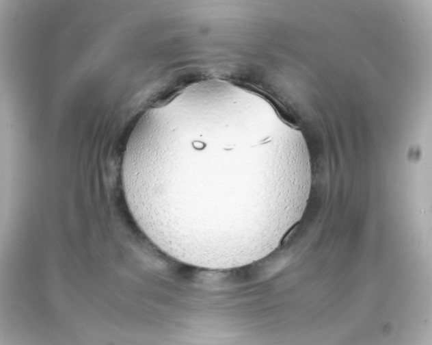 X0000093390139200711011319