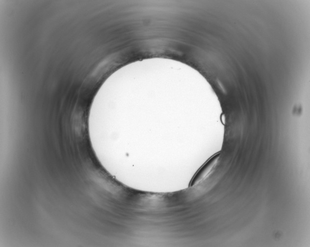 X0000093390140200711011319