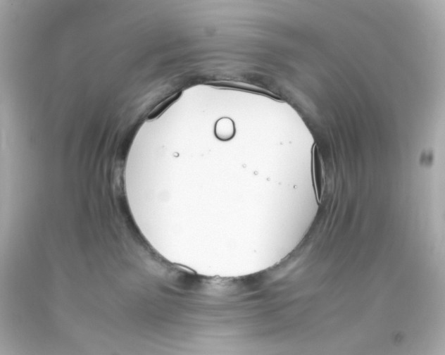 X0000093390141200711011319