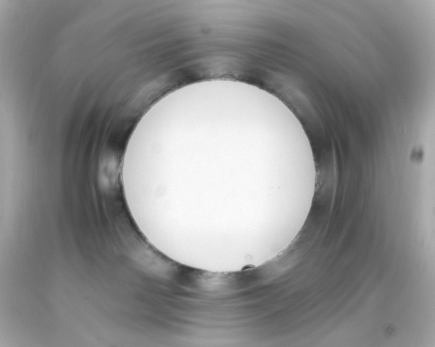 X0000093390142200711011319