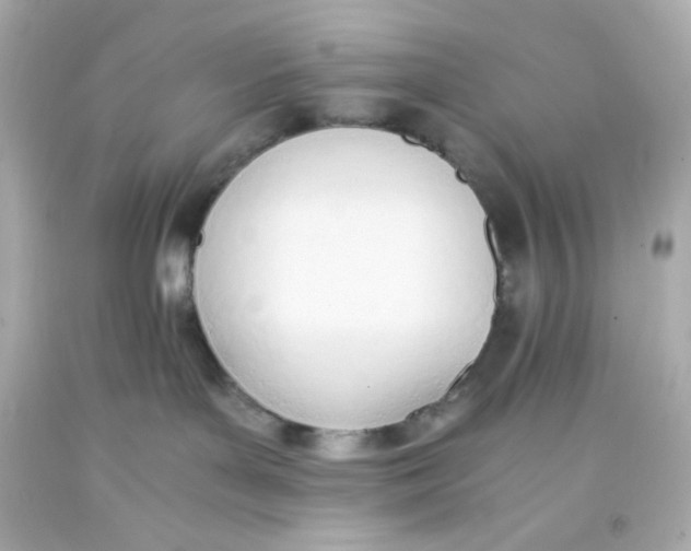 X0000093390143200711011319