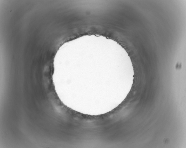 X0000093390144200711011319