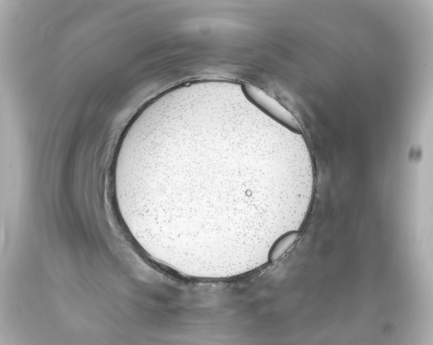 X0000093390145200711011318