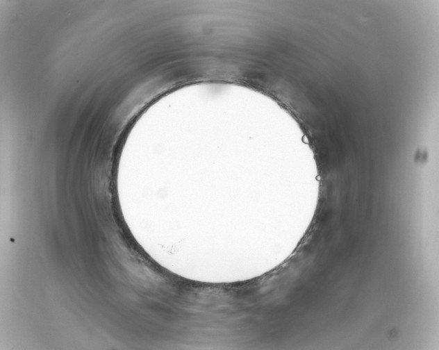 X0000093390146200711011318